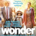 Wonder