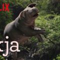 Okja (2017)