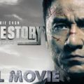 Police Story 2013 (2013)