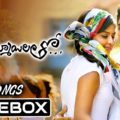 Iddarammayilatho (2013)