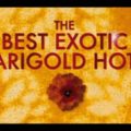 The Best Exotic Margold Hotel (2011)