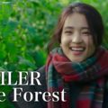 Little Forest (2018)